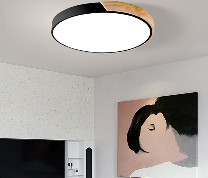 CEILING LIGHT